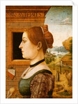 Portrait of a Woman, c.1494 by School Italian