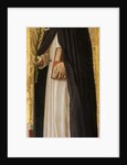 Saint Dominic, 1472 by Carlo Crivelli