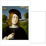 Federigo Gonzaga, 1510 by Il (1450-1517) Francia