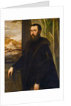 Portrait of a Venetian Senator, c.1570 by Jacopo Robusti Tintoretto