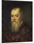 Portrait of a Man with a Red Cloak, 1555-80 by Jacopo Robusti Tintoretto