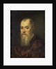 Portrait of a Man with a Red Cloak, 1555-80 by Jacopo Robusti Tintoretto