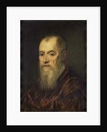 Portrait of a Man with a Red Cloak, 1555-80 by Jacopo Robusti Tintoretto