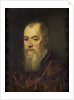 Portrait of a Man with a Red Cloak, 1555-80 by Jacopo Robusti Tintoretto