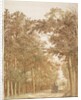 Trail through a forest, c.1638-42 by Cornelis Vroom