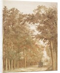 Trail through a forest, c.1638-42 by Cornelis Vroom