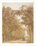 Trail through a forest, c.1638-42 by Cornelis Vroom