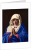 The Virgin in Prayer, 1640-50 by Il Sassoferrato
