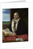 The Protonotary Giovanni Giuliano c.1530-40 by Italian School