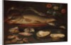 Still life with fish, oysters and shrimps, c.1620-50 by Clara Peeters