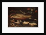 Still life with fish, oysters and shrimps, c.1620-50 by Clara Peeters