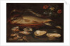 Still life with fish, oysters and shrimps, c.1620-50 by Clara Peeters