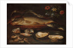 Still life with fish, oysters and shrimps, c.1620-50 by Clara Peeters