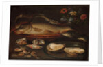 Still life with fish, oysters and shrimps, c.1620-50 by Clara Peeters