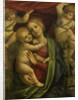 Madonna and Child, 1525-35 by Gaudenzio Ferrari