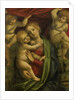 Madonna and Child, 1525-35 by Gaudenzio Ferrari