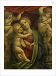 Madonna and Child, 1525-35 by Gaudenzio Ferrari