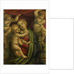 Madonna and Child, 1525-35 by Gaudenzio Ferrari