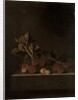 A Sprig of Gooseberries on a Stone Plinth, 1699 by Adrian Coorte