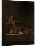 A Sprig of Gooseberries on a Stone Plinth, 1699 by Adrian Coorte