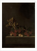A Sprig of Gooseberries on a Stone Plinth, 1699 by Adrian Coorte