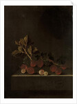 A Sprig of Gooseberries on a Stone Plinth, 1699 by Adrian Coorte