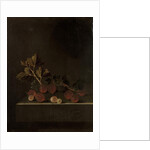 A Sprig of Gooseberries on a Stone Plinth, 1699 by Adrian Coorte