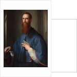 Monsignor della Casa, c.1541-42 by Jacopo Pontormo