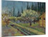 Orchard Bordered by Cypresses, 1888 by Vincent van Gogh