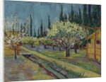 Orchard Bordered by Cypresses, 1888 by Vincent van Gogh
