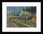 Orchard Bordered by Cypresses, 1888 by Vincent van Gogh