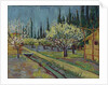 Orchard Bordered by Cypresses, 1888 by Vincent van Gogh