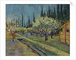 Orchard Bordered by Cypresses, 1888 by Vincent van Gogh