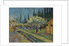 Orchard Bordered by Cypresses, 1888 by Vincent van Gogh