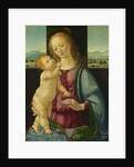 Madonna and Child with a Pomegranate, 1475-80 by Lorenzo di Credi