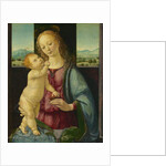 Madonna and Child with a Pomegranate, 1475-80 by Lorenzo di Credi