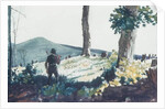 The Pioneer, 1900 by Winslow Homer