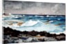 Shore and Surf, Nassau, 1899 by Winslow Homer