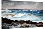 Shore and Surf, Nassau, 1899 by Winslow Homer