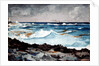 Shore and Surf, Nassau, 1899 by Winslow Homer