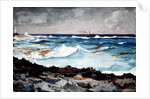 Shore and Surf, Nassau, 1899 by Winslow Homer