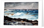 Shore and Surf, Nassau, 1899 by Winslow Homer