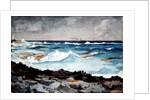 Shore and Surf, Nassau, 1899 by Winslow Homer
