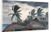 Hurricane, Bahamas, 1898 by Winslow Homer