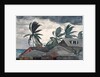 Hurricane, Bahamas, 1898 by Winslow Homer
