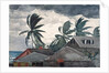Hurricane, Bahamas, 1898 by Winslow Homer