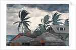 Hurricane, Bahamas, 1898 by Winslow Homer
