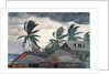 Hurricane, Bahamas, 1898 by Winslow Homer