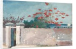 A Wall, Nassau, 1898 by Winslow Homer