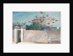 A Wall, Nassau, 1898 by Winslow Homer
